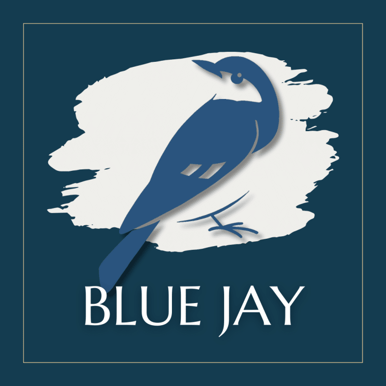 BLUE JAY