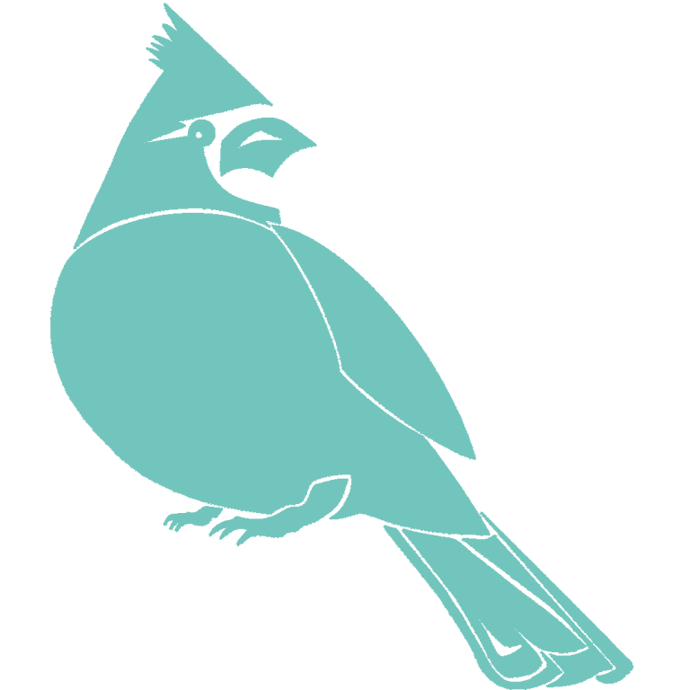 cardinal transparent green 1080 1 768x768