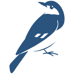 blue-jay-transparent-bluejay-color-1080
